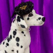 Load image into Gallery viewer, Cursed Place Pet Beret