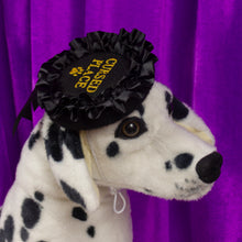 Load image into Gallery viewer, Cursed Place Pet Beret