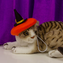 Load image into Gallery viewer, Witch Hat Pet Hat