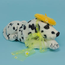 Load image into Gallery viewer, Going Daisy Pet Beret