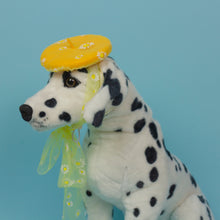 Load image into Gallery viewer, Going Daisy Pet Beret