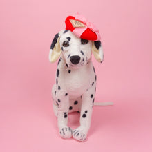 Load image into Gallery viewer, I'm the Gift Pet Beret