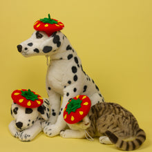Load image into Gallery viewer, Red Strawberry Pet Beret