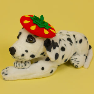 Red Strawberry Pet Beret