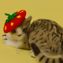 Load image into Gallery viewer, Red Strawberry Pet Beret