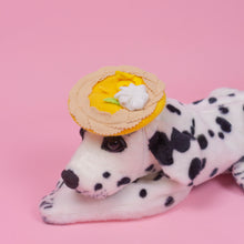 Load image into Gallery viewer, Lemon Tart Pet Beret