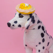 Load image into Gallery viewer, Lemon Tart Pet Beret