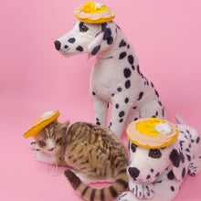Load image into Gallery viewer, Lemon Tart Pet Beret