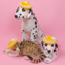 Load image into Gallery viewer, Lemon Tart Pet Beret