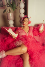 Load image into Gallery viewer, The Bettie (Gerbera Clip Set)