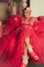 Load image into Gallery viewer, The Bettie (Gerbera Clip Set)