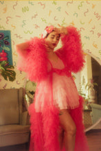 Load image into Gallery viewer, The Bettie (Gerbera Clip Set)