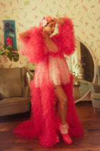 Load image into Gallery viewer, The Bettie (Gerbera Clip Set)