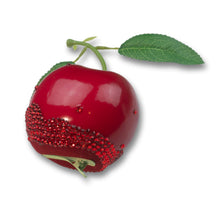 Load image into Gallery viewer, Cherry on Top Clip