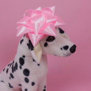 Star Bow Pet Beret in Pink