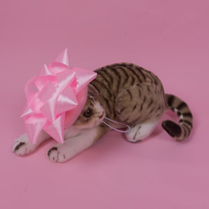 Star Bow Pet Beret in Pink