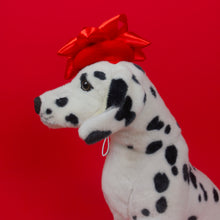 Load image into Gallery viewer, Star Bow Pet Beret in Red