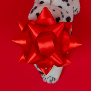 Star Bow Pet Beret in Red