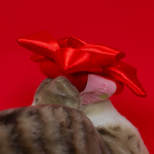 Load image into Gallery viewer, Star Bow Pet Beret in Red