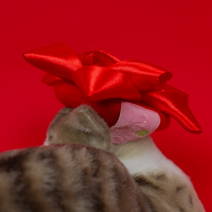 Star Bow Pet Beret in Red