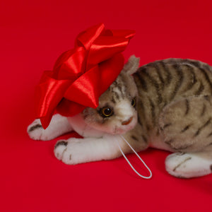 Star Bow Pet Beret in Red