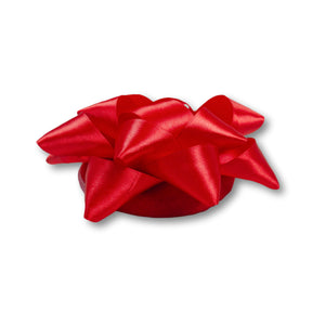 Star Bow Pet Beret in Red