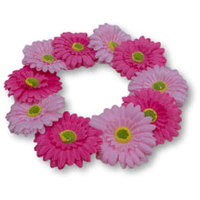 Load image into Gallery viewer, The Bettie (Gerbera Clip Set)