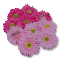 Load image into Gallery viewer, The Bettie (Gerbera Clip Set)