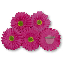 Load image into Gallery viewer, The Bettie (Gerbera Clip Set)