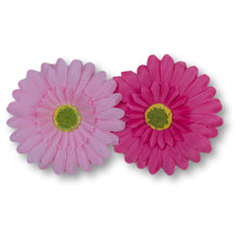 Load image into Gallery viewer, The Bettie (Gerbera Clip Set)