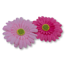 Load image into Gallery viewer, The Bettie (Gerbera Clip Set)