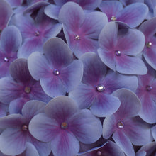 Load image into Gallery viewer, The Elizabeth (Hydrangea Gumdrop Hat)