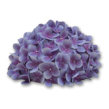 Load image into Gallery viewer, The Elizabeth (Hydrangea Gumdrop Hat)