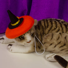 Load image into Gallery viewer, Witch Hat Pet Hat