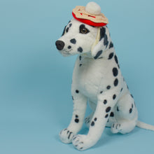 Load image into Gallery viewer, Cutie Pie Pet Beret