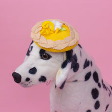 Load image into Gallery viewer, Lemon Tart Pet Beret